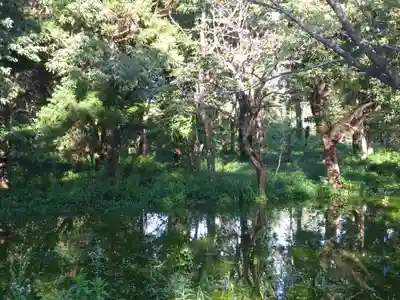 大生神社(茨城県)