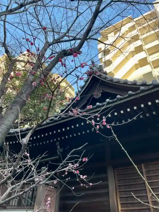 御園神社の{uncategorized: "未分類", other: "その他", undefined: "問題あり", building: "その他建物", grave: "お墓", sacred_gate: "鳥居", guardian: "狛犬", statue: "像", buddha: "仏像", history: "歴史", nature: "自然", garden: "庭園", animal: "動物", pagoda: "塔", temizu: "手水舎", mountain_gate: "山門・神門", sanctuary: "本殿・本堂", subordinate: "末社・摂社", art: "芸術", scenery: "景色", jizo: "地蔵", ema: "絵馬", goshuin: "御朱印", omikuji: "おみくじ", items: "授与品その他", amulet: "お守り", goshuincho: "御朱印帳", eats: "食事", festival: "お祭り", votive_dance: "神楽", shichigosan: "七五三参", wedding: "結婚式", experience: "体験その他", initially: "初詣", around: "周辺", anti_infection: "感染症対策"}