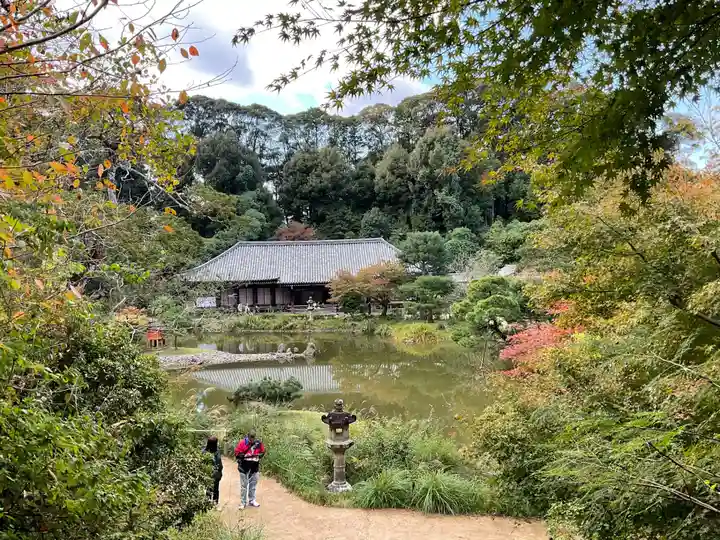 浄瑠璃寺(京都府)
