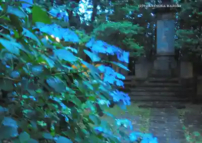 伊勢山皇大神宮(神奈川県)