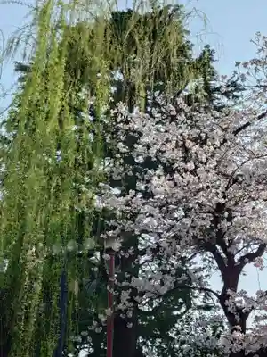 浅草神社(東京都)
