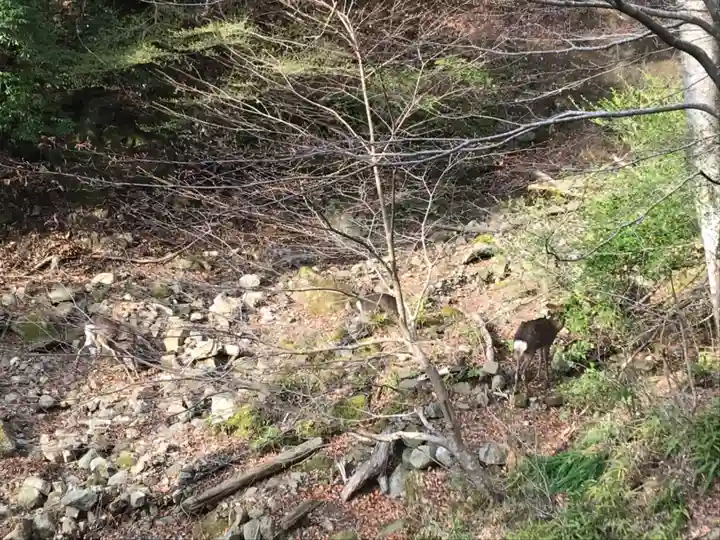 八意思兼神社の周辺