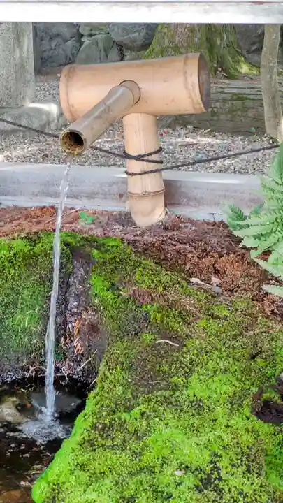八坂神社(祇園さん)の手水舎