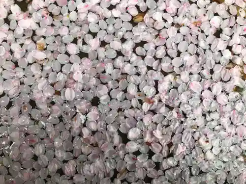 宝厳寺(滋賀県)