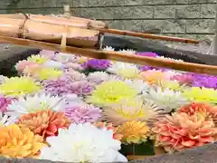 千歳神社の手水