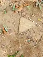 赤城神社(瑞穂野町中日向)(栃木県)