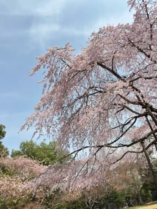 大神神社の{uncategorized: "未分類", other: "その他", undefined: "問題あり", building: "その他建物", grave: "お墓", sacred_gate: "鳥居", guardian: "狛犬", statue: "像", buddha: "仏像", history: "歴史", nature: "自然", garden: "庭園", animal: "動物", pagoda: "塔", temizu: "手水舎", mountain_gate: "山門・神門", sanctuary: "本殿・本堂", subordinate: "末社・摂社", art: "芸術", scenery: "景色", jizo: "地蔵", ema: "絵馬", goshuin: "御朱印", omikuji: "おみくじ", items: "授与品その他", amulet: "お守り", goshuincho: "御朱印帳", eats: "食事", festival: "お祭り", votive_dance: "神楽", shichigosan: "七五三参", wedding: "結婚式", experience: "体験その他", initially: "初詣", around: "周辺", anti_infection: "感染症対策"}
