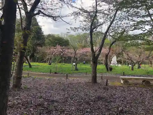 北海道神宮の庭園