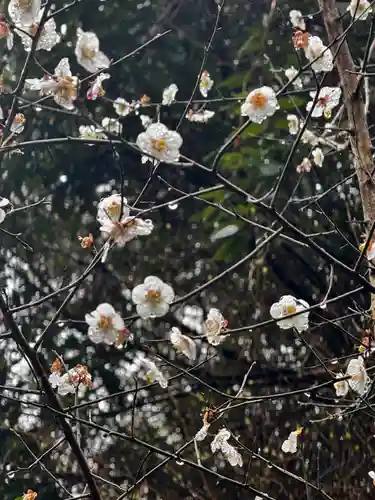 天安河原宮(宮崎県)