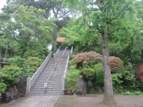達磨寺(群馬県)