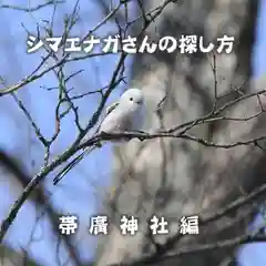 帯廣神社(北海道)