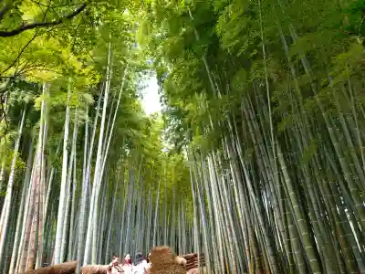 化野念仏寺(京都府)
