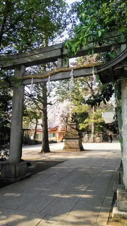 石神井氷川神社の鳥居