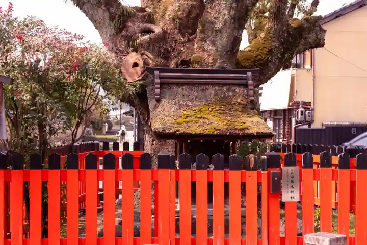 藤木社(賀茂別雷神社末社)(京都府)
