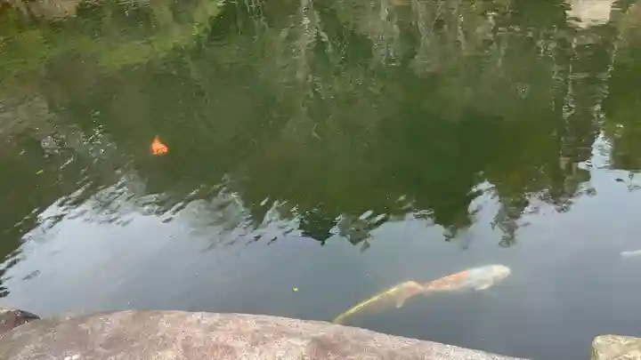 貫井神社(東京都)
