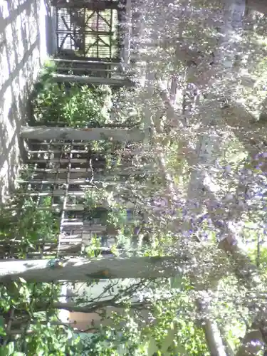 越ヶ谷久伊豆神社(埼玉県)