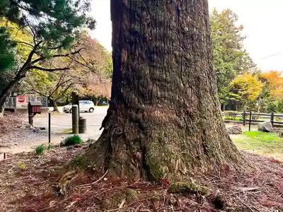 雷神社(福岡県)