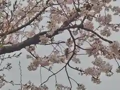 相武台神社(神奈川県)