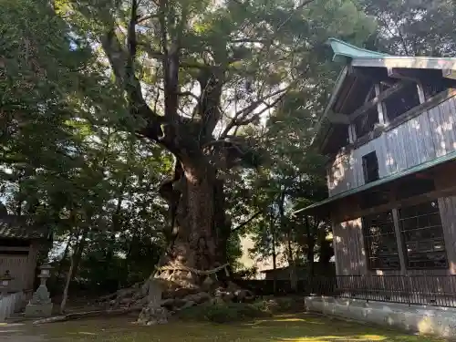 川津来宮神社の{uncategorized: "未分類", other: "その他", undefined: "問題あり", building: "その他建物", grave: "お墓", sacred_gate: "鳥居", guardian: "狛犬", statue: "像", buddha: "仏像", history: "歴史", nature: "自然", garden: "庭園", animal: "動物", pagoda: "塔", temizu: "手水舎", mountain_gate: "山門・神門", sanctuary: "本殿・本堂", subordinate: "末社・摂社", art: "芸術", scenery: "景色", jizo: "地蔵", ema: "絵馬", goshuin: "御朱印", omikuji: "おみくじ", items: "授与品その他", amulet: "お守り", goshuincho: "御朱印帳", eats: "食事", festival: "お祭り", votive_dance: "神楽", shichigosan: "七五三参", wedding: "結婚式", experience: "体験その他", initially: "初詣", around: "周辺", anti_infection: "感染症対策"}