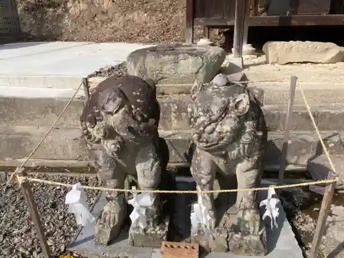 日尾八幡神社の狛犬