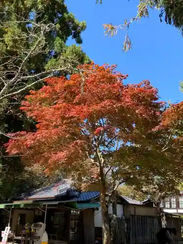 春日大社のその他建物