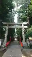 馬橋稲荷神社の鳥居