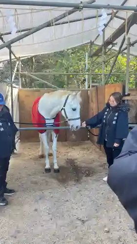 藤森神社(京都府)