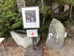 羽豆神社(愛知県)