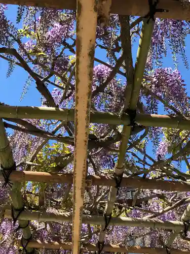 金蛇水神社の自然