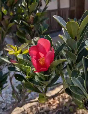 横浜　西方寺(神奈川県)