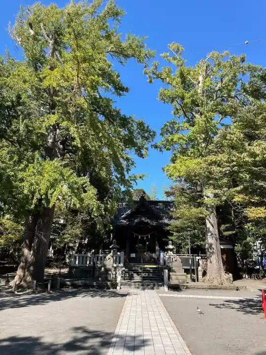 亀岡八幡宮(亀岡八幡神社)(神奈川県)
