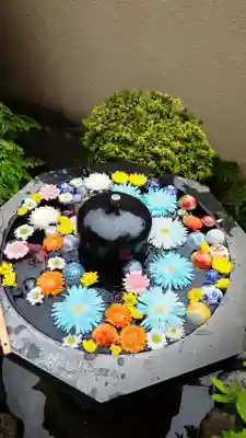 神楽坂安養寺(東京都)