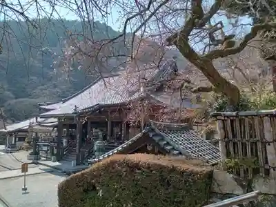 善峯寺(京都府)