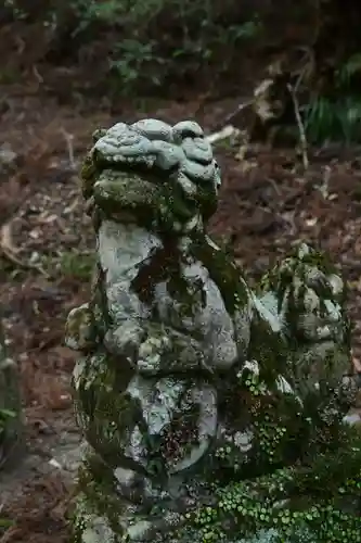地主神社（桑の川の鳥居杉）(高知県)