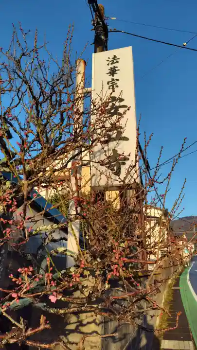 安立寺(静岡県)