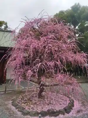 城南宮(京都府)