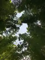 子安神社の自然