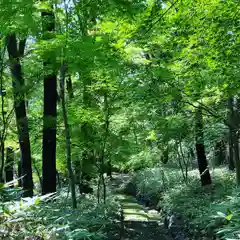 崇禅寺の庭園