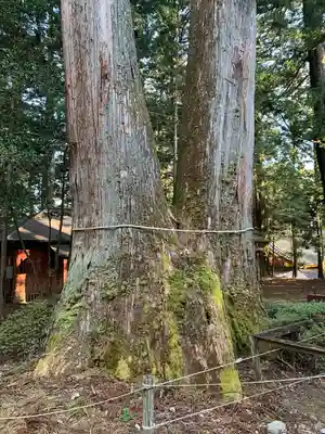 日光東照宮御仮殿(栃木県)