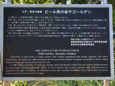 豊玉氷川神社の歴史