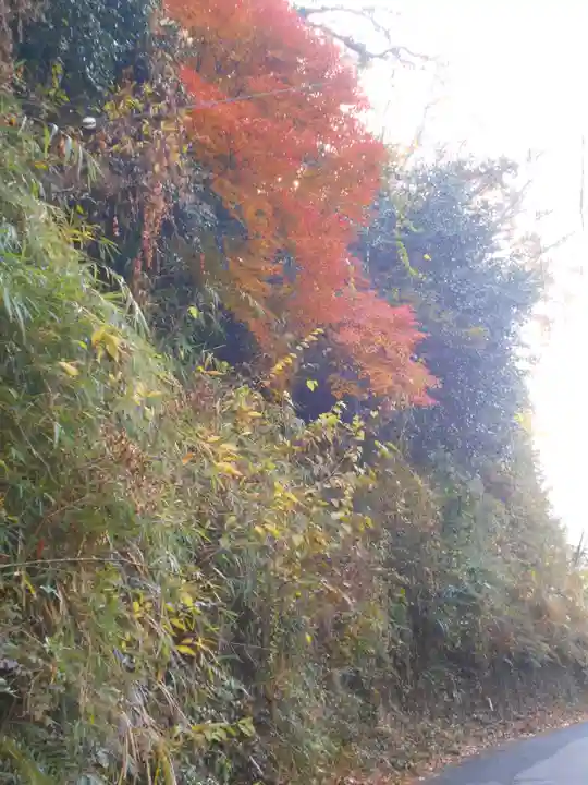 理智光寺跡(理智光寺址)<史跡>の周辺