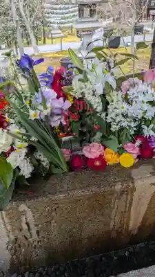 勝林寺(京都府)