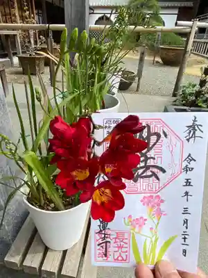 妙蓮寺(神奈川県)