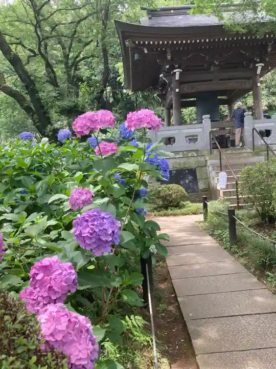妙楽寺(神奈川県)