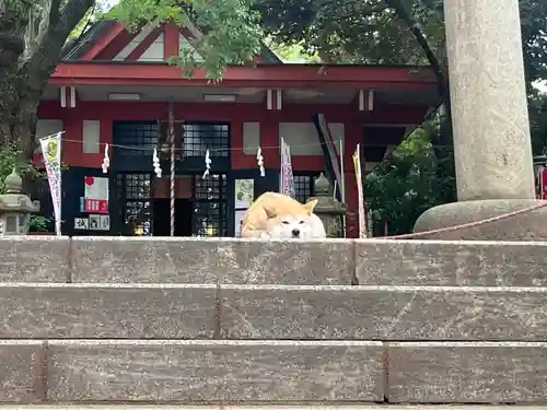 笠䅣稲荷神社(神奈川県)