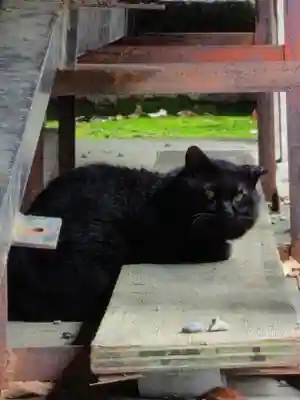 本郷氷川神社(東京都)