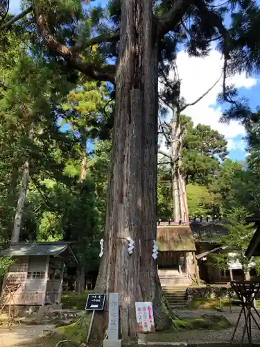 元伊勢内宮 皇大神社の自然