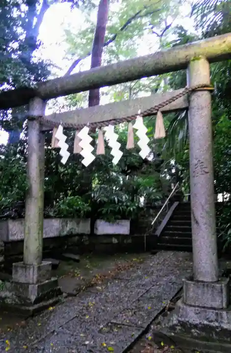 経堂天祖神社の鳥居