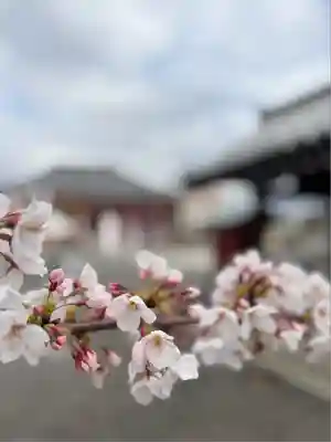 津観音(三重県)