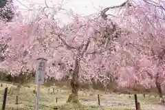 宝泉寺の庭園